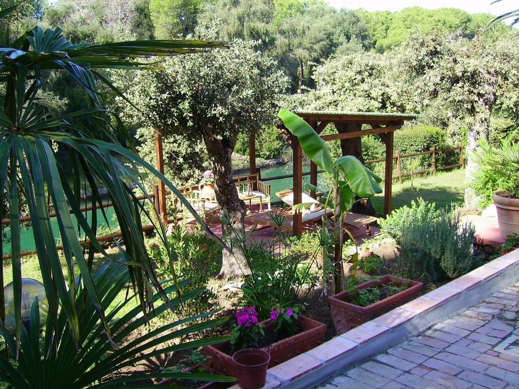 Villa Paradisino Orbetello Habitación foto